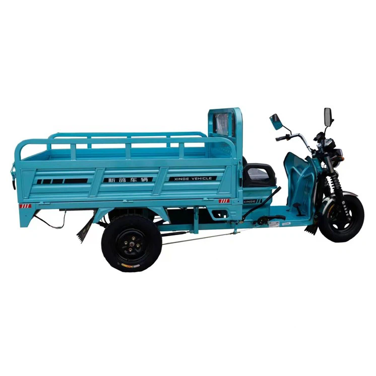 XINGE 1200W সুপার পাওয়ার ইলেকট্রিক কারগো মোটরসাইকেল